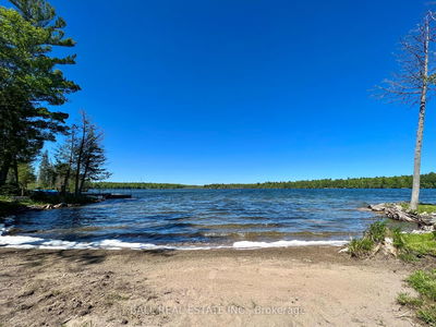 154 JULIAN LAKE Rd, North Kawartha - Rural North Kawartha image-0-3