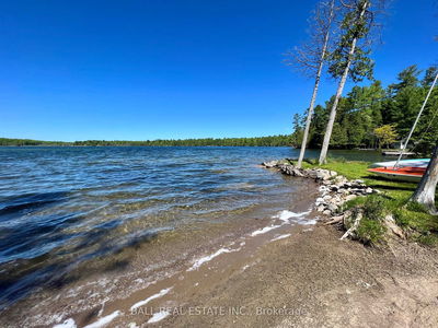 154 JULIAN LAKE Rd, North Kawartha - Rural North Kawartha image-0-4