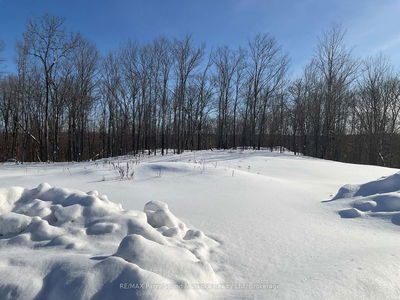 791 Clear Lake Rd, Parry Sound Remote Area - Arnstein image-0-2