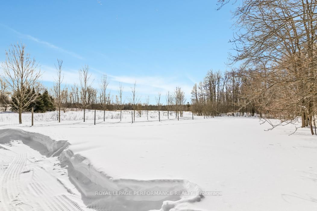 Listing Image 34