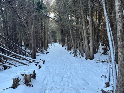  KERFORD Rd, Merrickville-Wolford - Merrickville/Wolford Twp image-0-2