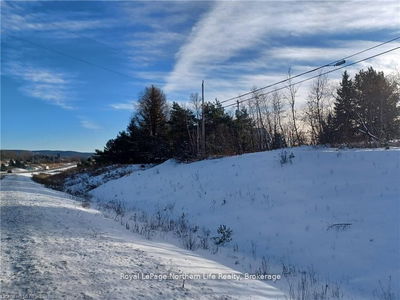 1687 Highway 11, Powassan - Powassan image-0-2