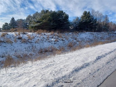 1687 Highway 11, Powassan - Powassan image-0-3