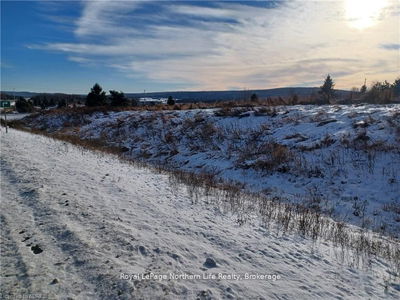 1687 Highway 11, Powassan - Powassan image-0-4