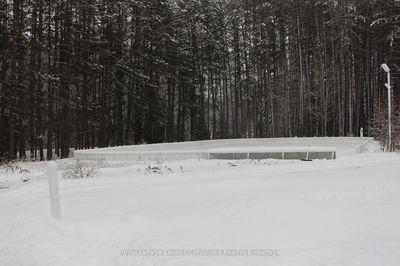 Unit V 16 w 3 — 1020 Birch Glen Rd, Lake of Bays - Mclean image-0-4