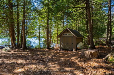 764 EAST BEAR LAKE Rd, McMurrich/Monteith - Bear Lake image-0-4