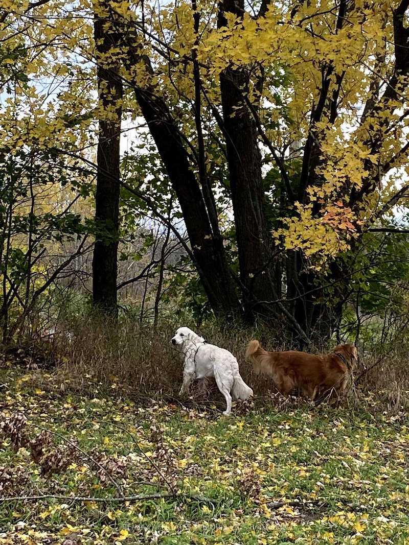 LOT Sapphire Dr, South Glengarry, K6H 7J1 | Image 2