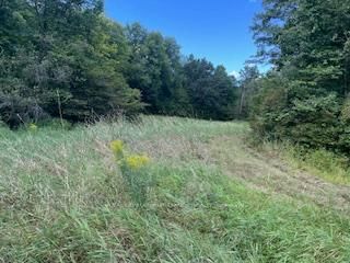 2494 Sulphide Rd, Tweed -  image-0-3