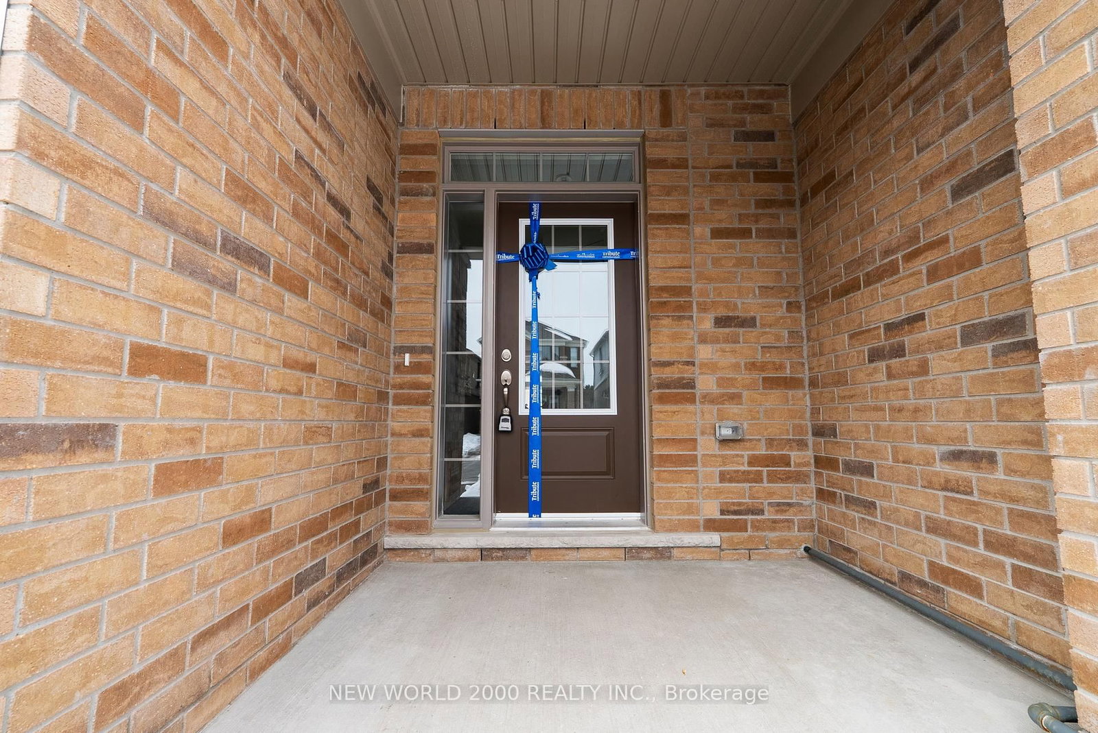 535 Trevor Street - Photo 3