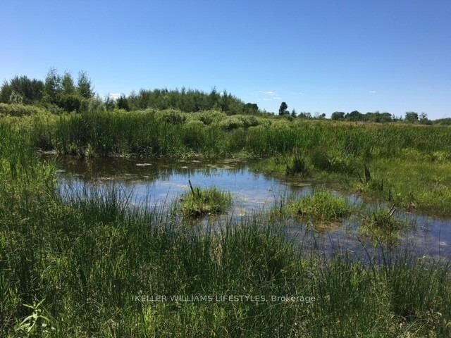 Vacant Land for sale at 1049 Sandringham Road, Kawartha Lakes, Woodville, K0M 2T0 - MLS: X11992095