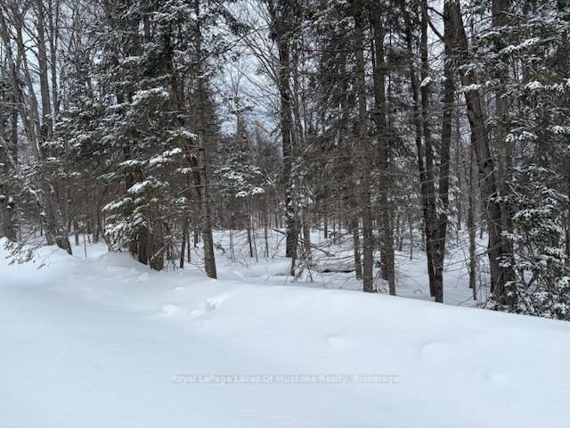 59 Summer Leigh Trail