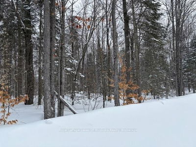 1788 Old Muskoka Rd, Huntsville - Stephenson
