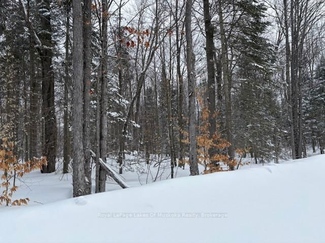 1788 Old Muskoka Road
