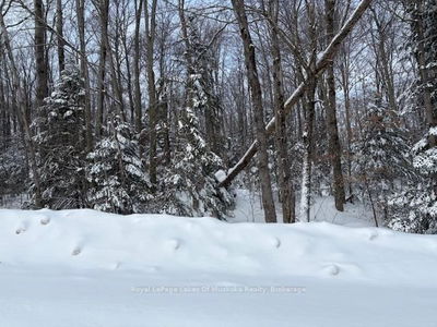 1788 Old Muskoka Rd, Huntsville - Stephenson image-0-1