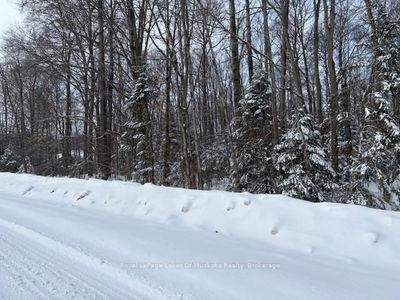 1788 Old Muskoka Rd, Huntsville - Stephenson image-0-2