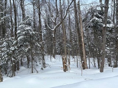 1788 Old Muskoka Rd, Huntsville - Stephenson image-0-4