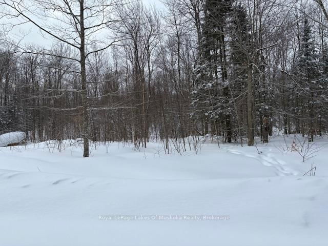 48 Summer Leigh Trail