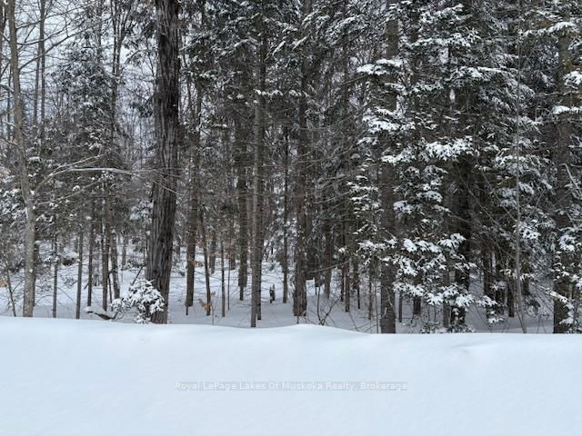 47 Summer Leigh Trail