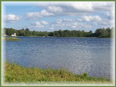 Lot 67 Brewester's Lake Rd, Grey Highlands - Grey Highlands image-0-3