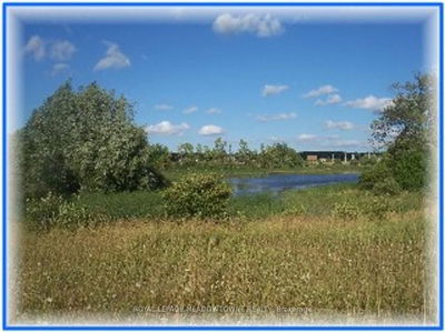 Lot 67 Brewester's Lake Rd, Grey Highlands - Grey Highlands image-0-4