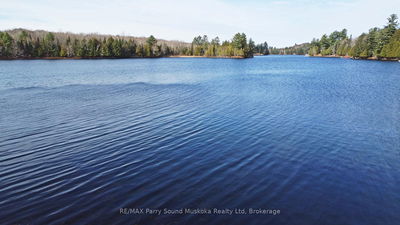  Chikopi Rd, Magnetawan - Ahmic Harbour image-0-3