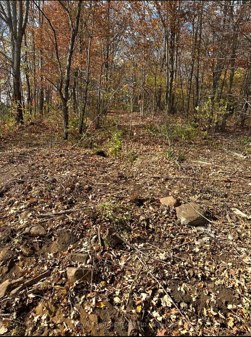 61 Marluc Ave, Minden Hills, K0M 2K0 | Image 3