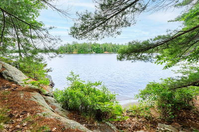 16LK-1 Wolf Island, Gravenhurst -  image-0-2