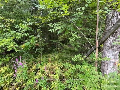 4475 DUNROBIN Rd, Ottawa - Constance Bay image-0-2