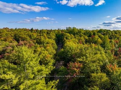  AXE LAKE Rd, McMurrich/Monteith - Monteith