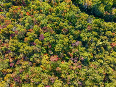  AXE LAKE Rd, McMurrich/Monteith - Monteith image-0-1