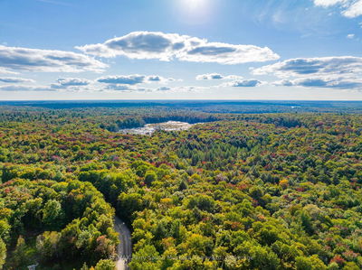  AXE LAKE Rd, McMurrich/Monteith - Monteith image-0-2