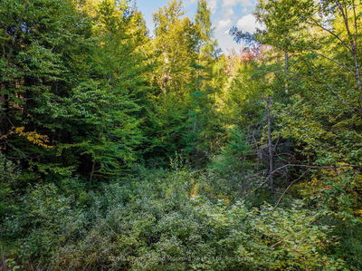  AXE LAKE Rd, McMurrich/Monteith - Monteith image-0-4