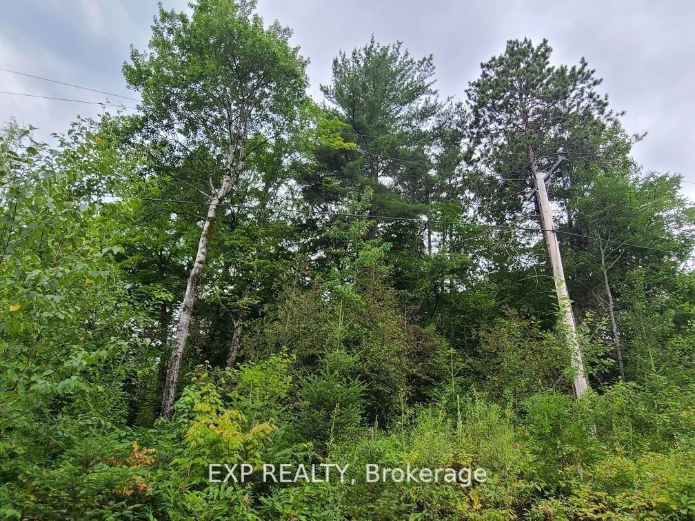 Vacant Land for sale at 20 Peplinski Homestead Road, Madawaska Valley, 570 - Madawaska Valley, K0J 2N0 - MLS: X11996187