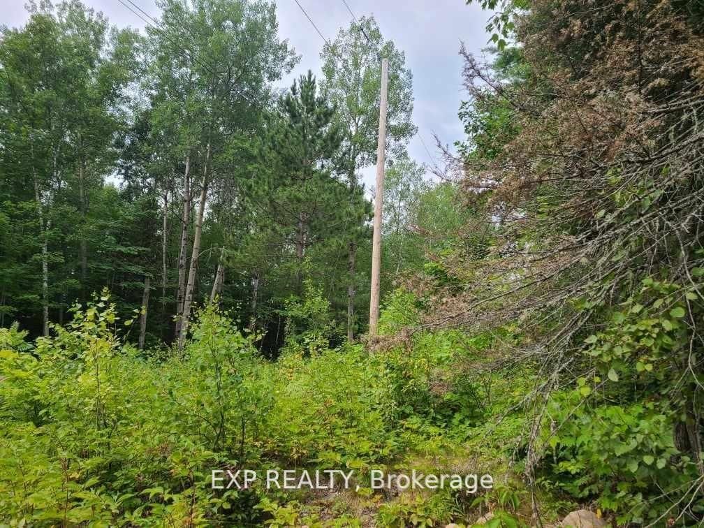 Vacant Land for sale at 20 Peplinski Homestead Road, Madawaska Valley, 570 - Madawaska Valley, K0J 2N0 - MLS: X11996187