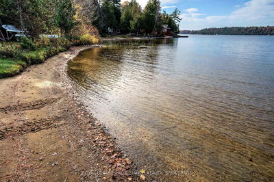 372 Featherston Lane, Westport - Bathurst/Burgess & Sherbrooke (South Sherbrooke) Twp image-0-2