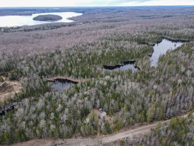 1238 Star Lake Rd, McMurrich/Monteith - Sprucedale image-0-3