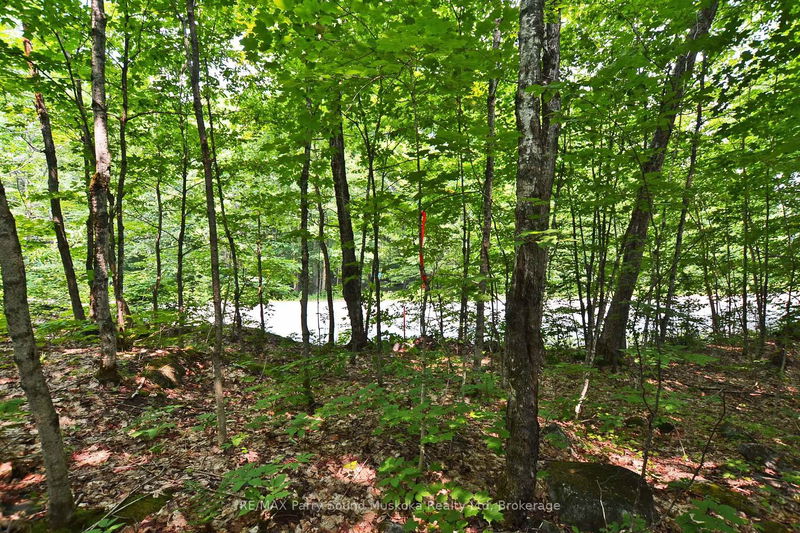 Unit Part 1 —  Lyndsey Lane, McKellar - McKellar image-0-0