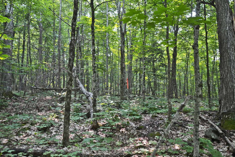 Part 1 - 0 Lyndsey Lane, McKellar, P2A 0B5 | Image 2