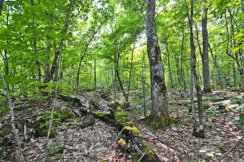 Unit Part 2 —  Lyndsey Lane, McKellar - McKellar image-0-0