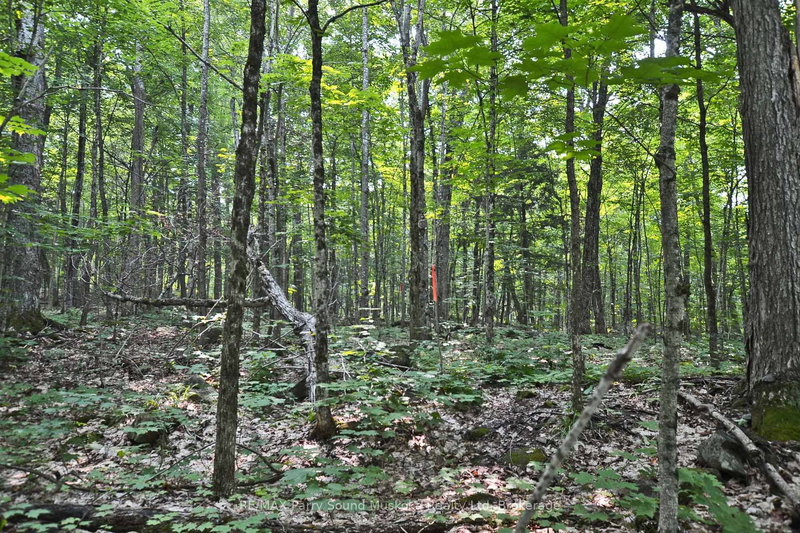 Part 2 - 0 Lyndsey Lane, McKellar, P2A 0B5 | Image 2