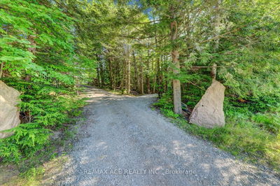 119 Gazelle Tr, North Kawartha - Rural North Kawartha image-0-1