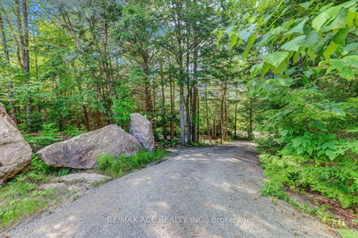 119 Gazelle Tr, North Kawartha - Rural North Kawartha image-0-2