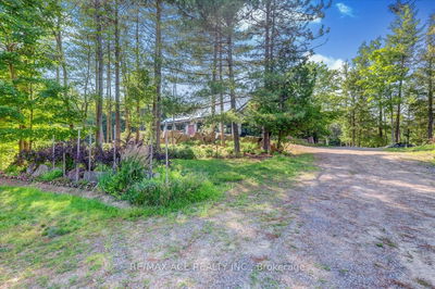 111 Gazelle Tr, North Kawartha - Rural North Kawartha image-0-3