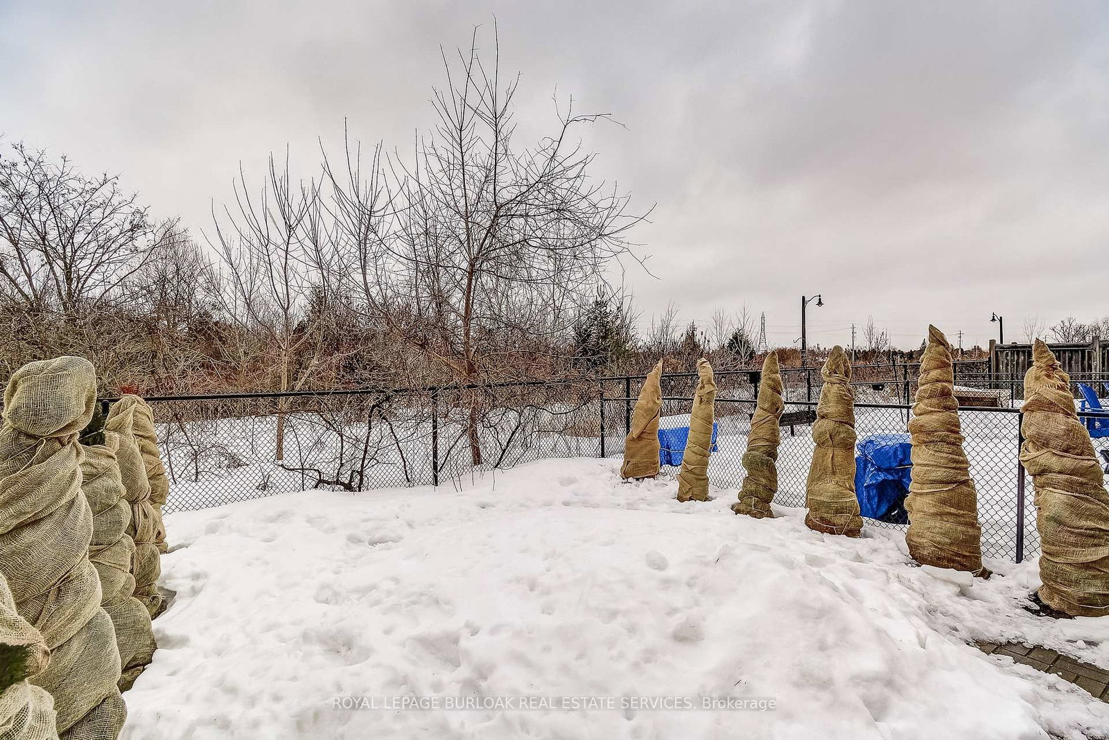 7 McPhail Place - Photo 31