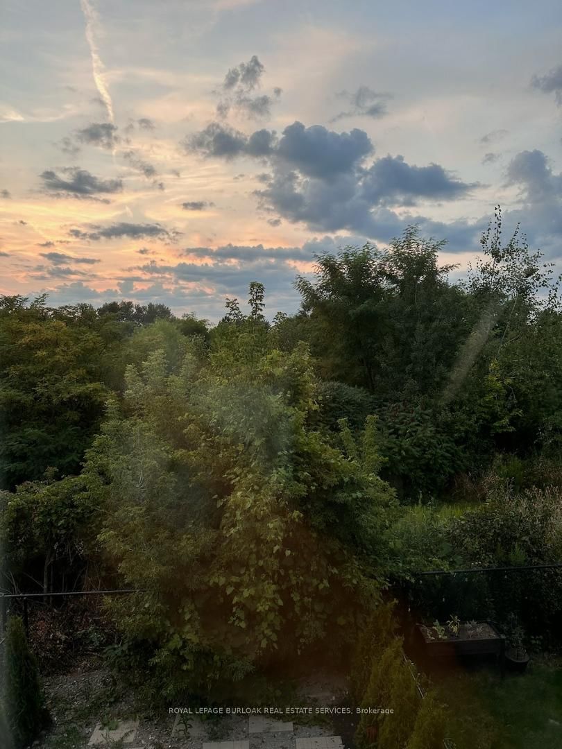 7 McPhail Place - Photo 33