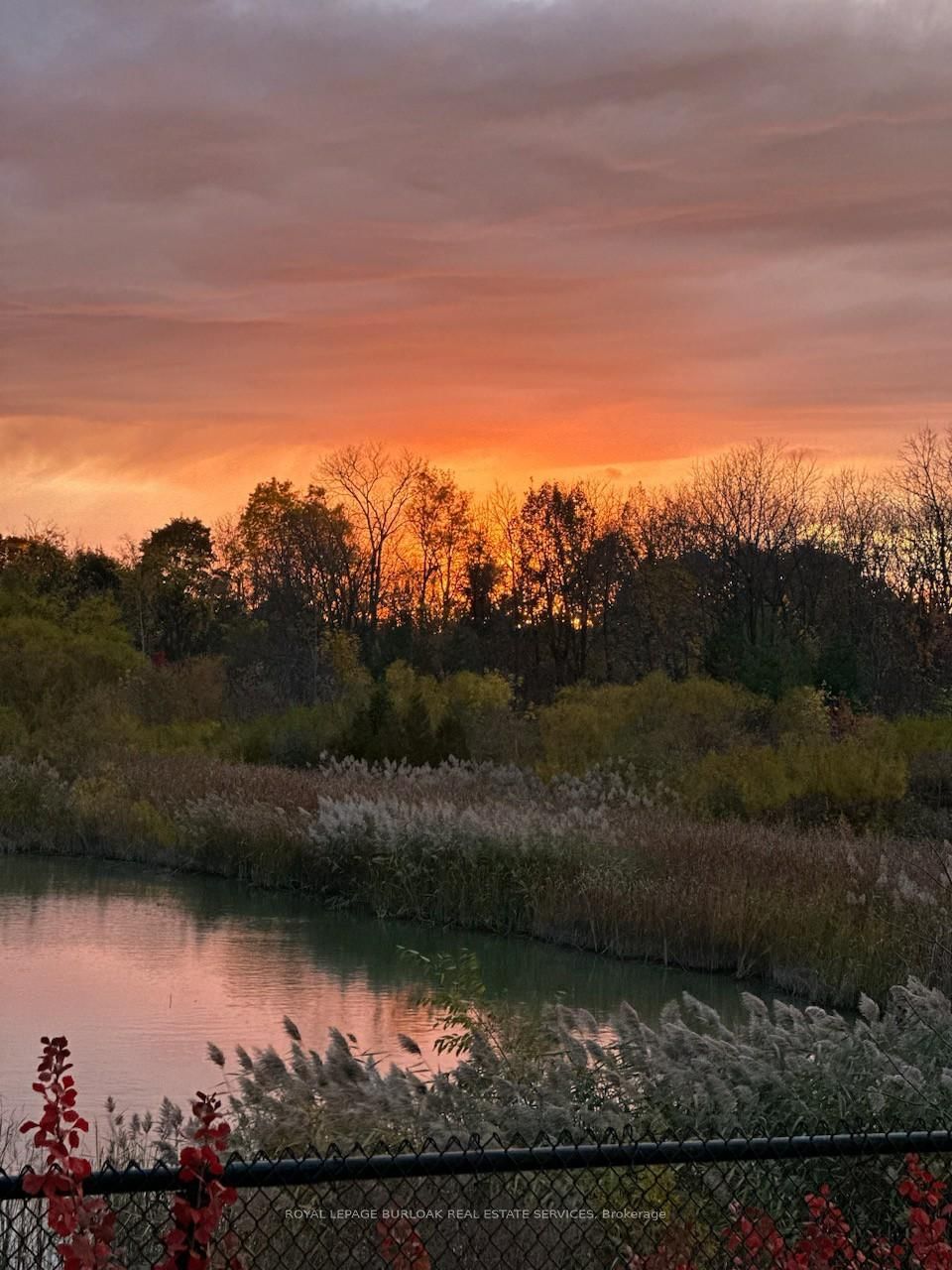 7 McPhail Place - Photo 34