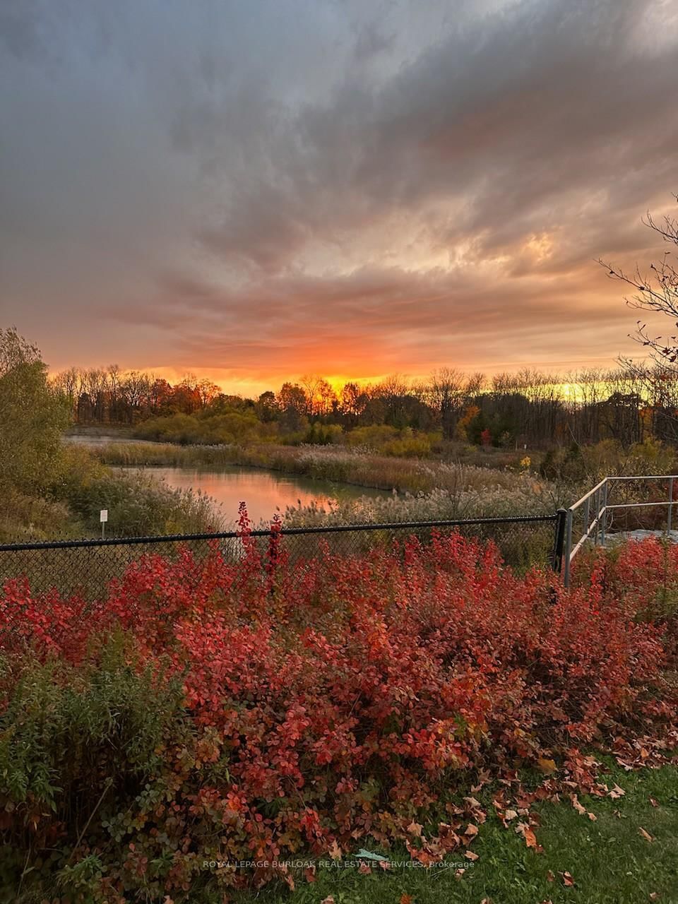 7 McPhail Place - Photo 35