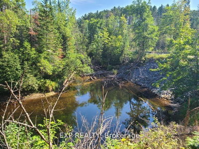 Pt Lt 8 Old Barrys Bay Rd, Combermere - Madawaska Valley