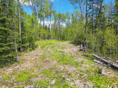 13 One Mile Rd, East Ferris - East Ferris image-0-2