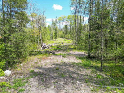 13 One Mile Rd, East Ferris - East Ferris image-0-3